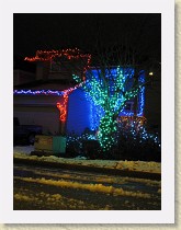 IMG_0051_Christmas_lights * Christmas lights 2010 * Christmas lights 2010 * 2736 x 3648 * (2.42MB)