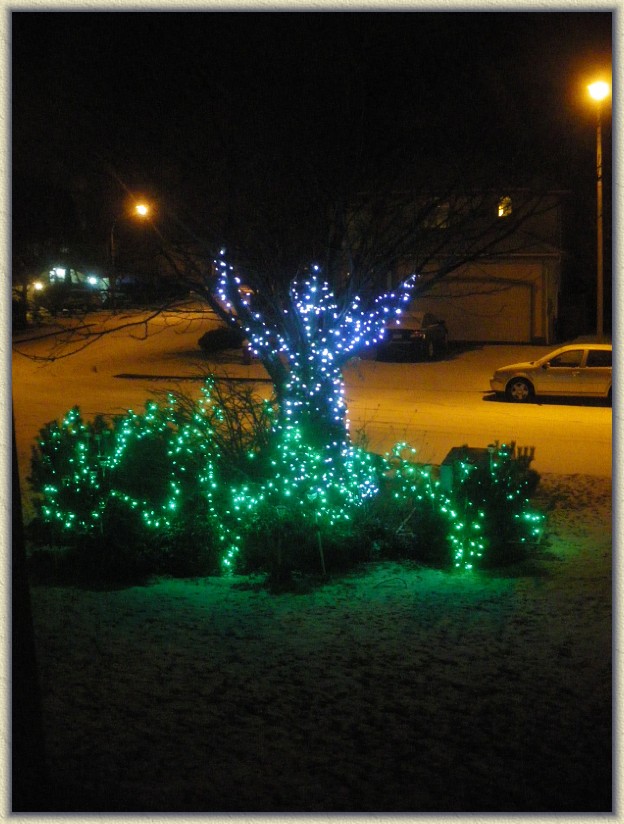 Click for the original image