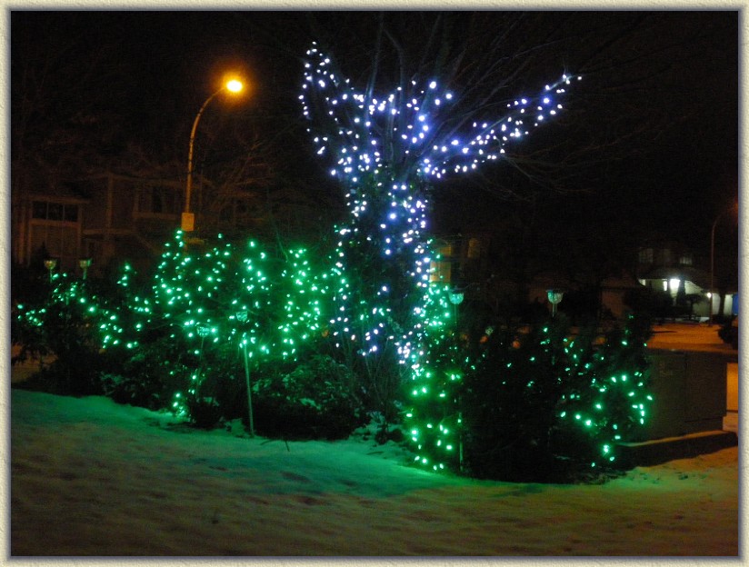 Click for the original image