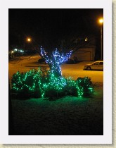 IMGP3392_Christmas_lights * Christmas lights * Christmas lights * 2448 x 3264 * (1.84MB)