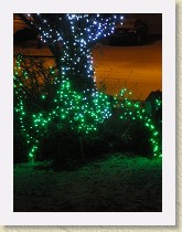 IMGP3393_Christmas_lights * Christmas lights * Christmas lights * 2448 x 3264 * (2.01MB)