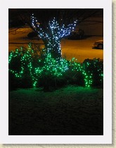 IMGP3395_Christmas_lights * Christmas lights * Christmas lights * 2448 x 3264 * (1.89MB)