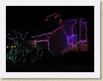 IMG_6398_Christmas_lights * Christmas lights * Christmas lights * 3648 x 2736 * (1.8MB)