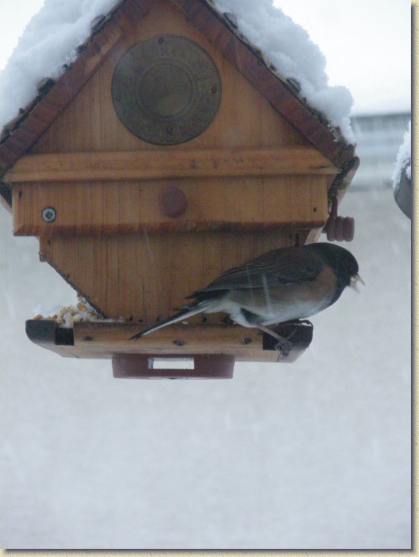 Click for the original image