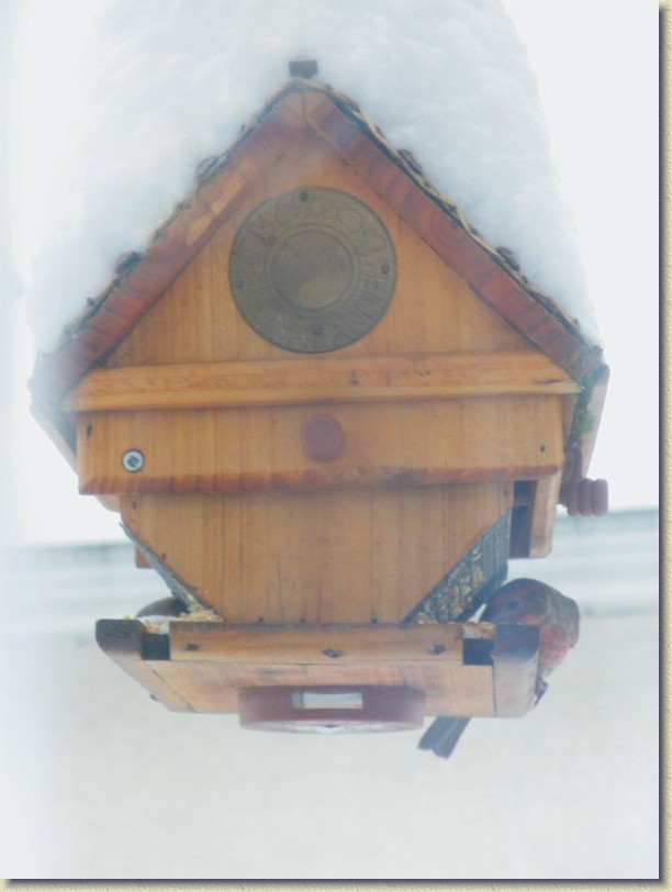 Click for the original image