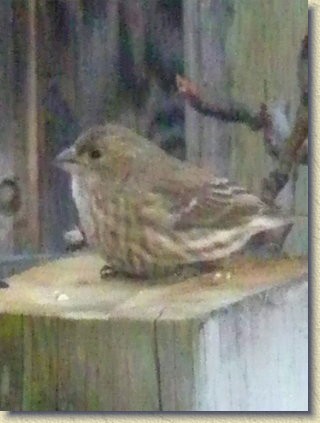 Click for the original image