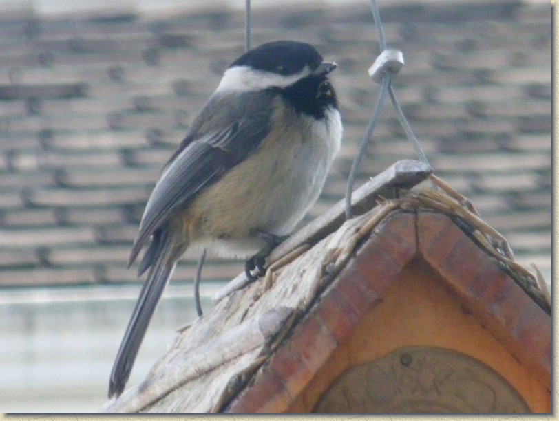 Click for the original image