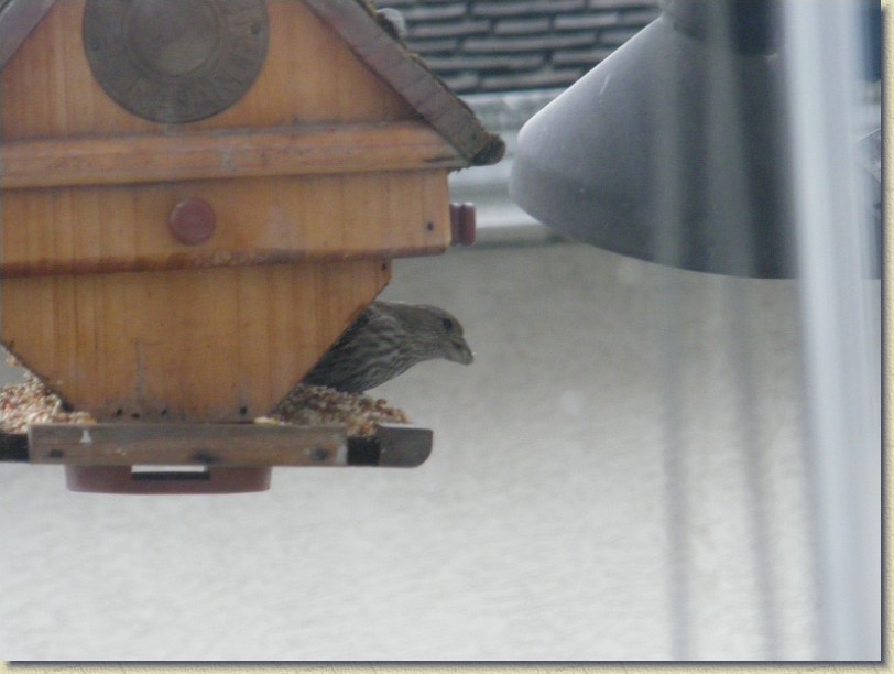 Click for the original image