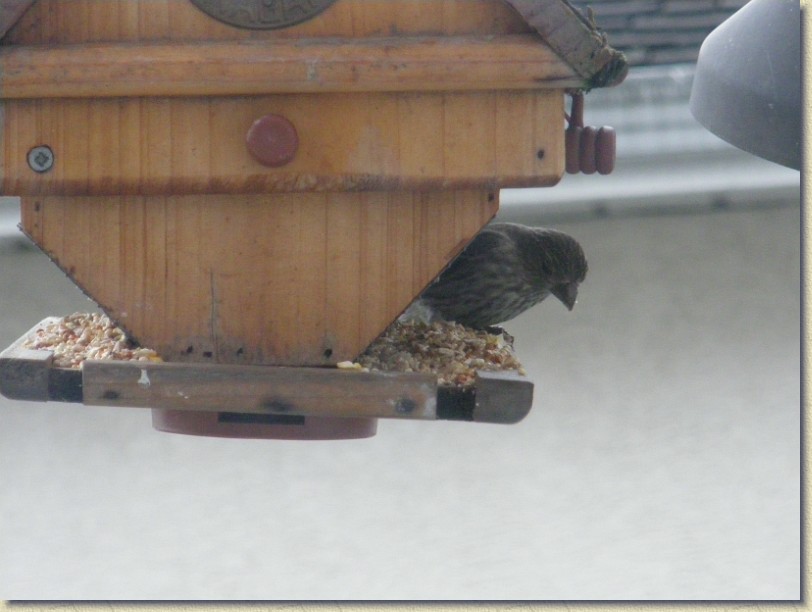 Click for the original image