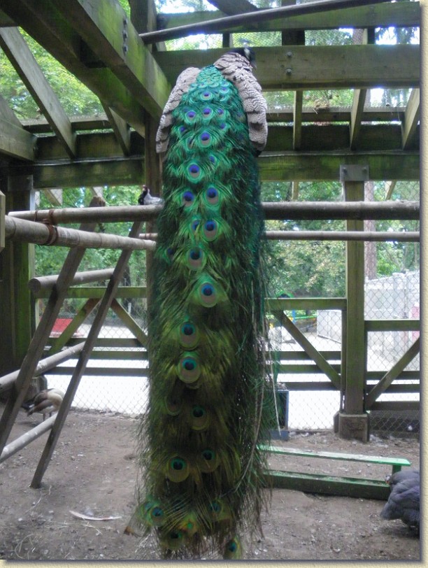 Click for the original image