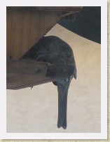 IMGP2056_bird_female_House_Finch1 * Backyard Bird FeederFemale House Finch close. Info. * Backyard Bird FeederFemale House Finch close. Info. * 792 x 1056 * (134KB)