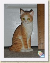 cat_collection * (30 Slides)