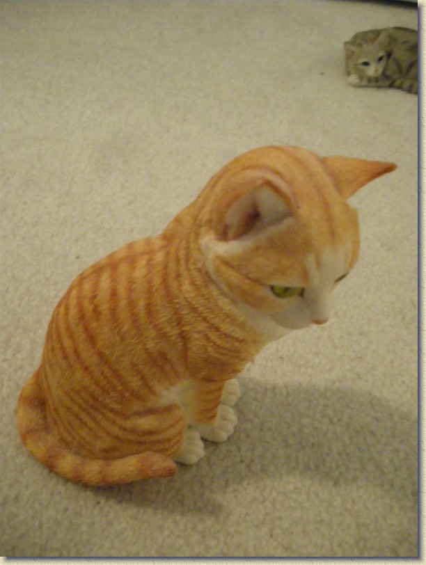 Click for the original image