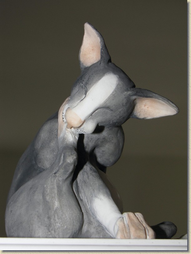 Click for the original image