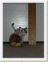 IMGP1665_cat_3 * resin cat #3, Country Artists 02226 Kitten w Flowerpot * resin cat #3, Country Artists 02226 Kitten w Flowerpot * 2448 x 3264 * (2.01MB)