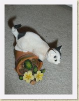 IMGP1671_cat_3 * resin cat #3, Country Artists 02226 Kitten w Flowerpot * resin cat #3, Country Artists 02226 Kitten w Flowerpot * 2448 x 3264 * (1.71MB)