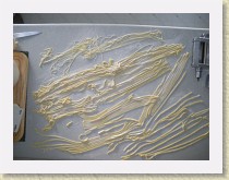 IMGP1113_fresh_pasta_1 * fresh pasta 1 * fresh pasta 1 * 3264 x 2448 * (1.96MB)