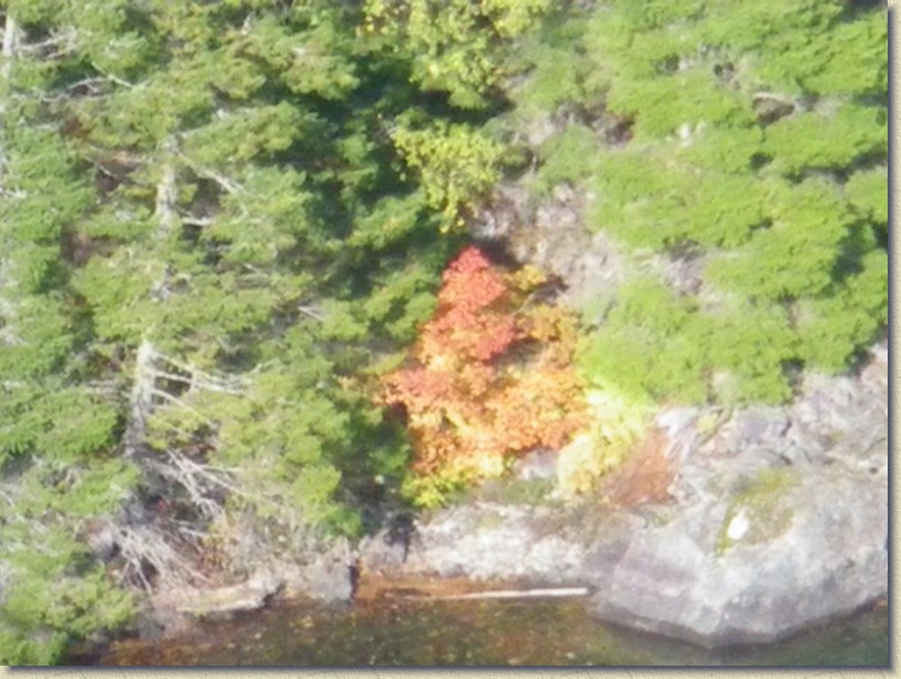 Click for the original image