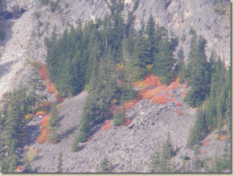 Click for the original image