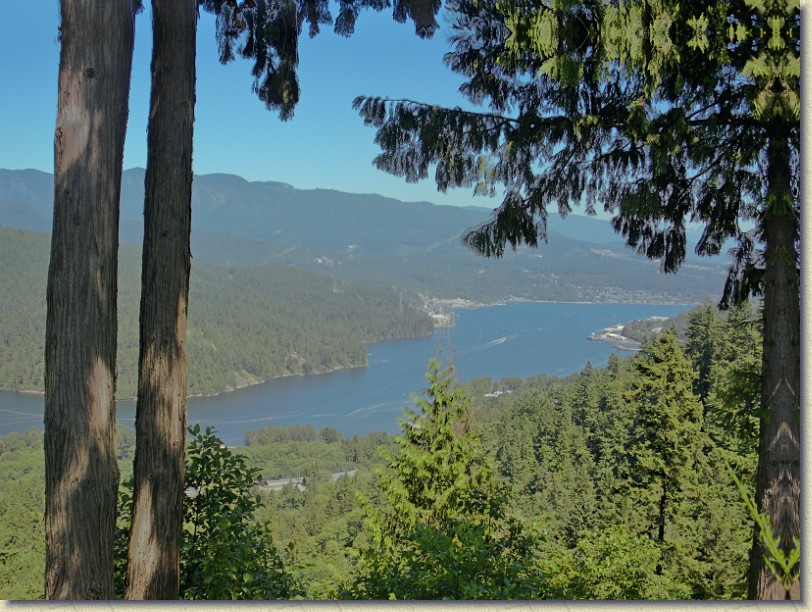 Click for the original image