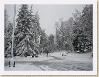 IMGP2717_March_snow_at_SFU * Snow in Vancouver, March 11th! Snow in the SFU parking lot. * Snow in Vancouver, March 11th! Snow in the SFU parking lot. * 3264 x 2448 * (2.37MB)