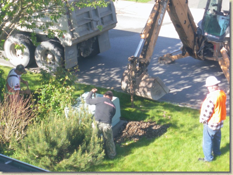 Click for the original image