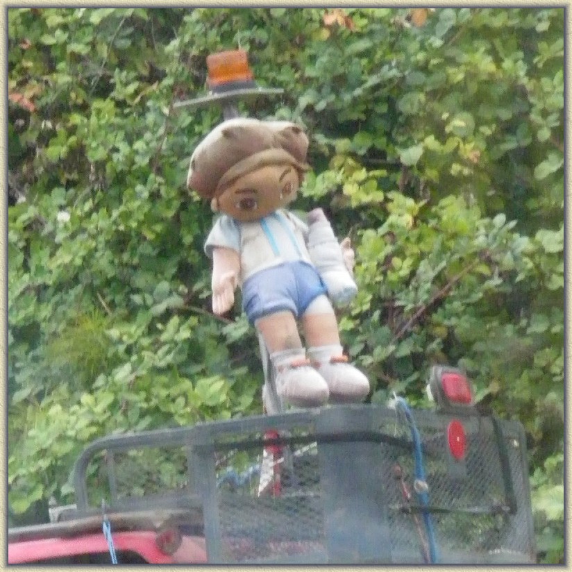 Click for the original image