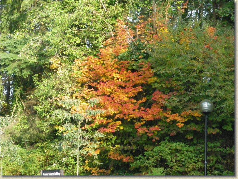 Click for the original image