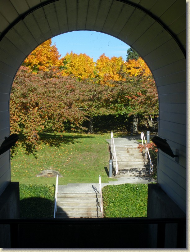 Click for the original image