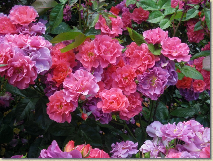 Click for the original image