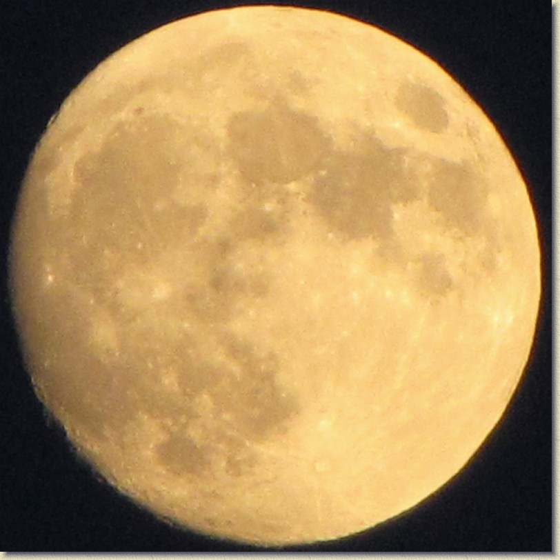 Click for the original image