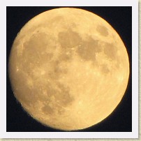 IMG_2118_moon * 1996 x 1996 * (281KB)