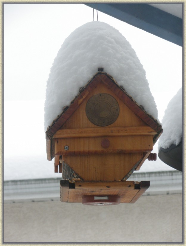 Click for the original image