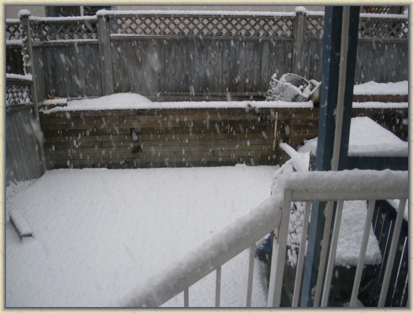 Click for the original image