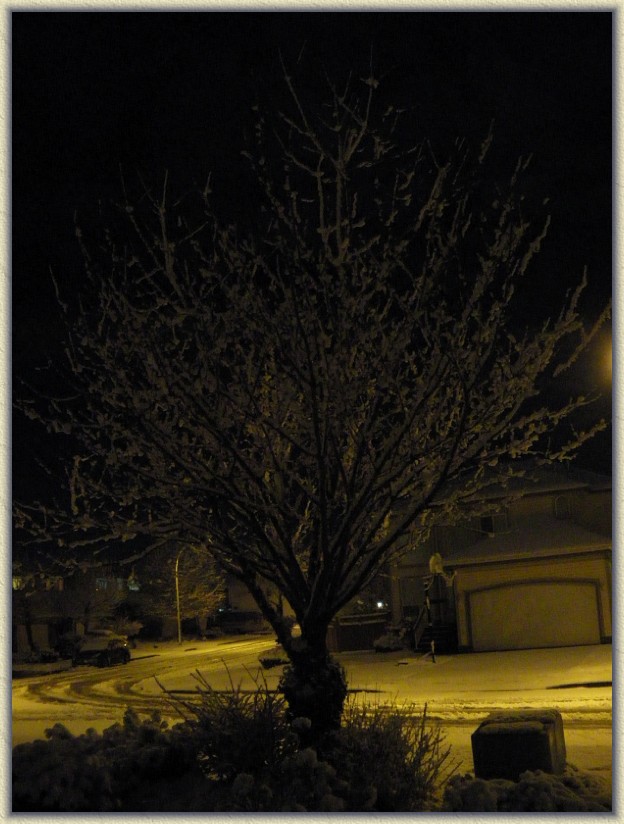 Click for the original image