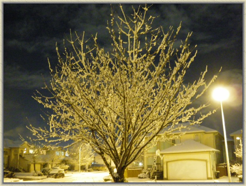 Click for the original image