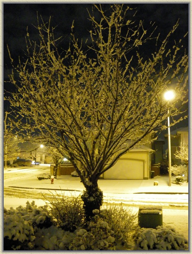 Click for the original image