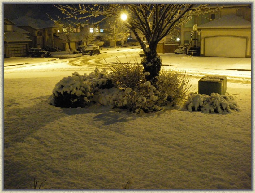 Click for the original image