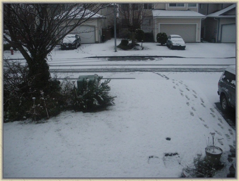 Click for the original image