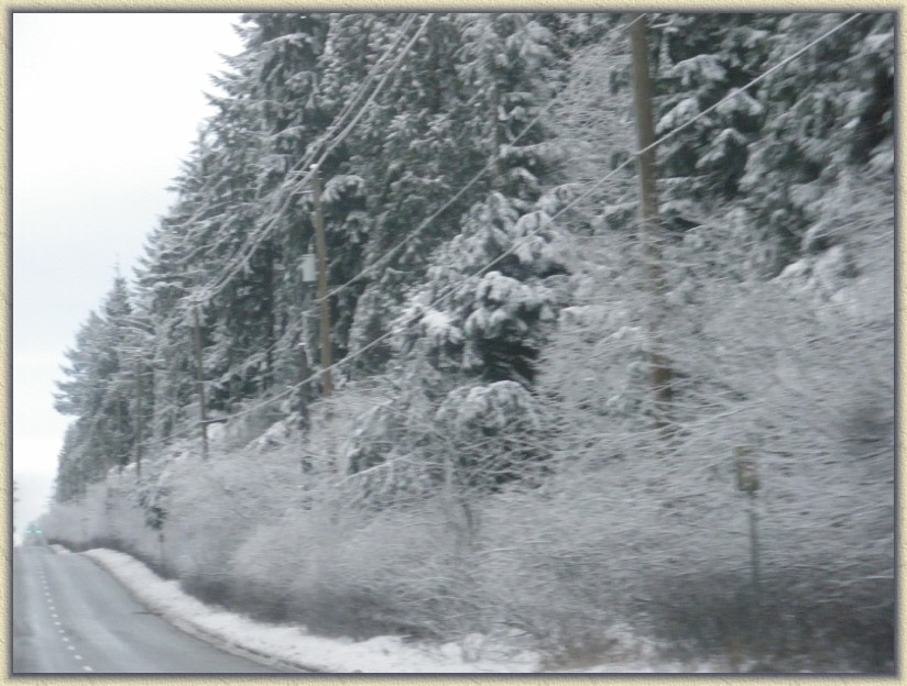 Click for the original image