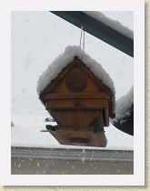 IMGP2035_snowing_on_birdhouse * snowing on birdhouse * snowing on birdhouse * 2448 x 3264 * (1.28MB)