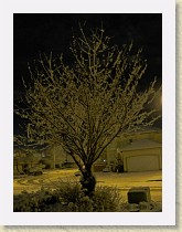 IMGP2038_39_40_HDR * 39 40 HDR * 39 40 HDR * 2448 x 3264 * (1.56MB)