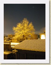 IMGP2054_snow_on_tree * snow on tree * snow on tree * 2448 x 3264 * (2.46MB)