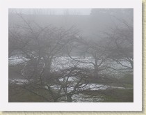 IMGP2078_SFU_snow_and_fog * SFU snow and fog * SFU snow and fog * 3264 x 2448 * (2.31MB)