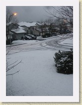 IMGP3377_dusting_of_snow * dusting of snow * dusting of snow * 2448 x 3264 * (1.78MB)