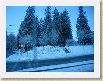 IMGP3399_snowy_trees * snowy trees * snowy trees * 3264 x 2448 * (1.65MB)