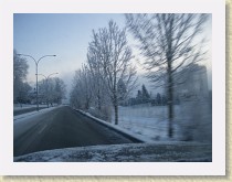 IMGP3400_snowy_trees * snowy trees * snowy trees * 3264 x 2448 * (1.45MB)