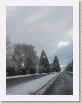 IMGP3406_snowy_trees * snowy trees * snowy trees * 2448 x 3264 * (1.17MB)