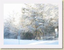 IMGP3409_snowy_trees * snowy trees * snowy trees * 3264 x 2448 * (1.61MB)