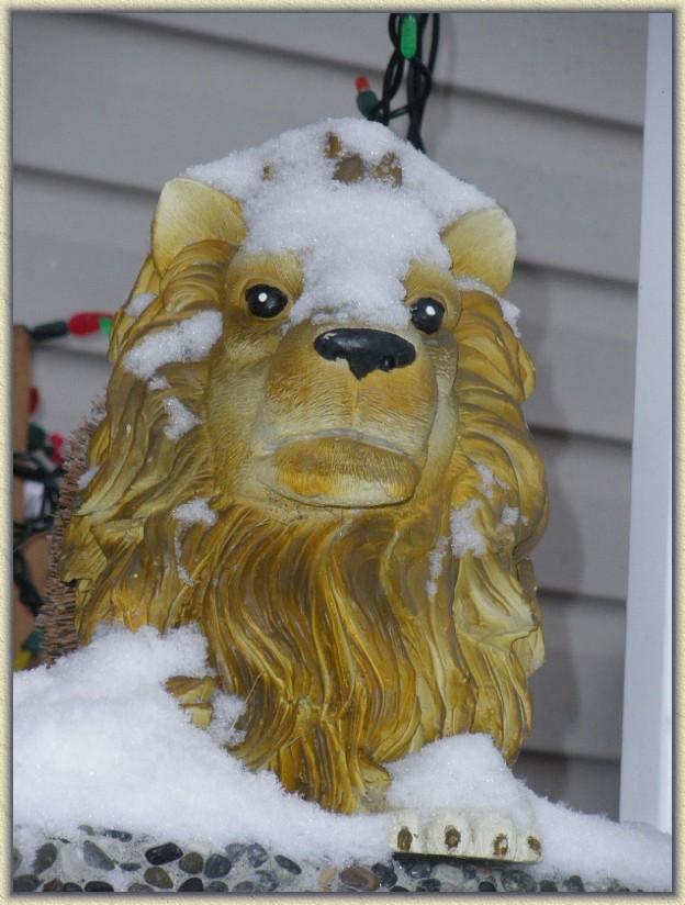 Click for the original image